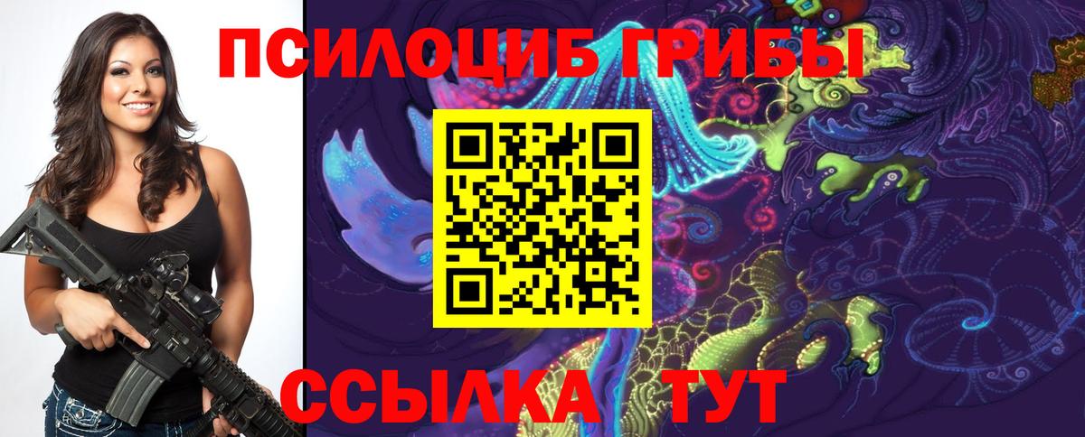 Гурьевск  Галлюциногенные грибы Psilocybe  Вход с VPN 